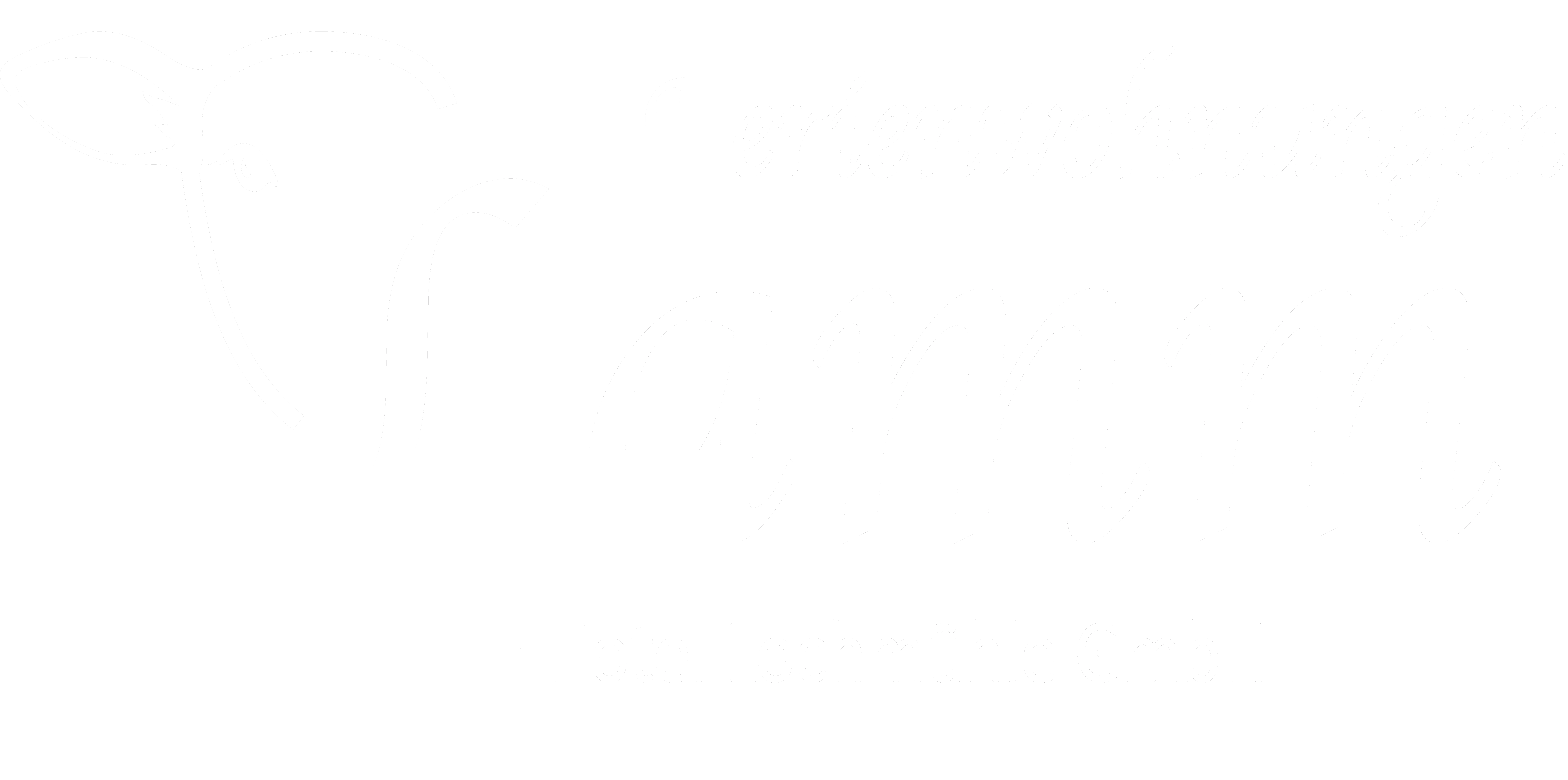 ferienwohnugen-lamm-eigetlingen